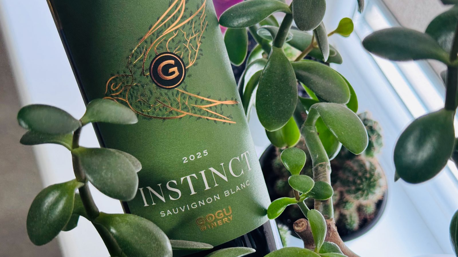 Gogu Winery lancează noul Sauvignon Blanc BIO